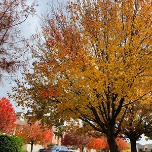 Meet your Posher, Cheryle